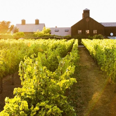 Vintner's Luncheon at^Turnbull Wine Cellars