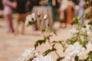 2025 Spring Season Highlights