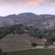 Odette Estate