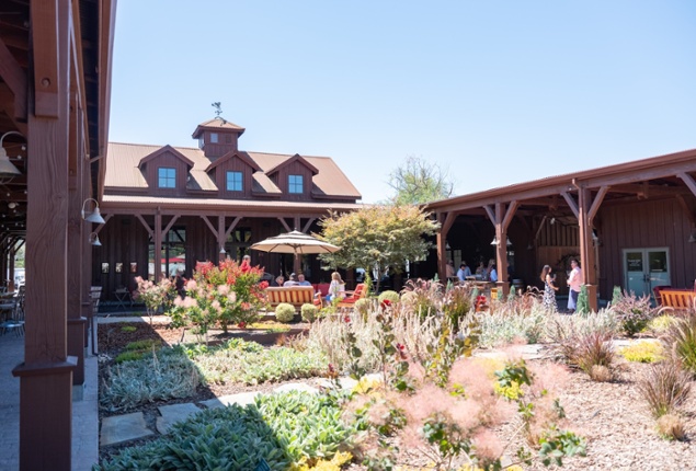 Vintner's Luncheon at^Tamber Bey Vineyards