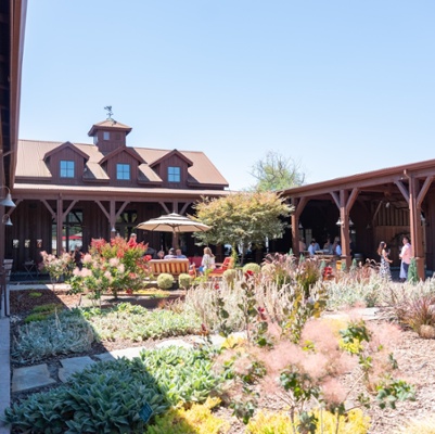 Vintner's Luncheon at^Tamber Bey Vineyards