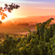 The Beauty of Napa Valley
