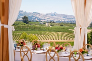 Vintners Luncheon at Copeland Olive Hill