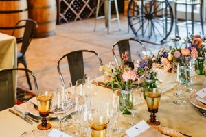 Vintner's Luncheon at Canard Vineyard