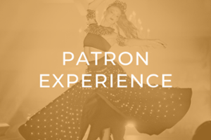 Patron Experience