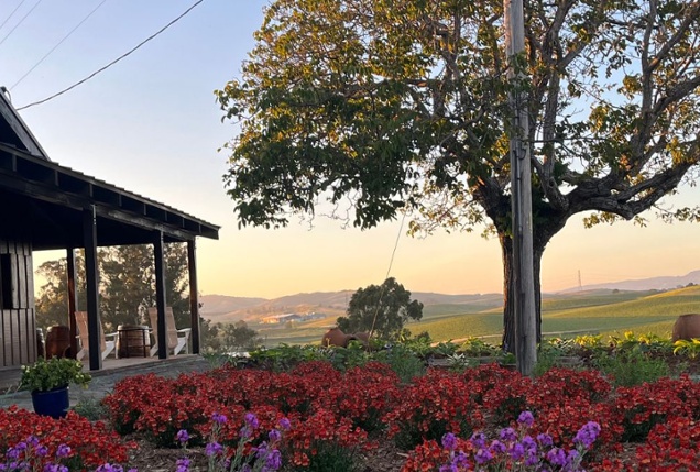 Vintner's Luncheon at^Copeland Olive Hill Estate