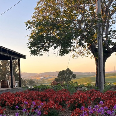 Vintner's Luncheon at^Copeland Olive Hill Estate