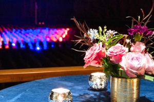 Suzanne Deal Booth^Visual Arts Program