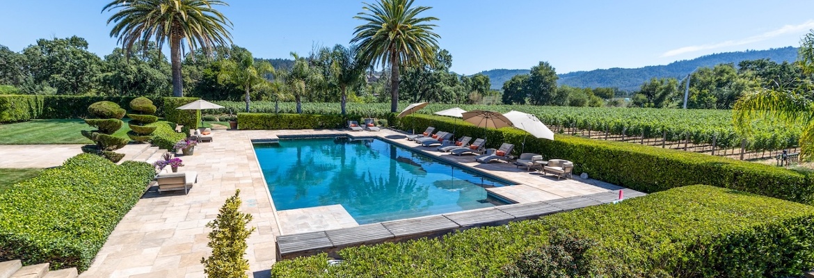 Vintner's Luncheon^at Ashe Vineyard