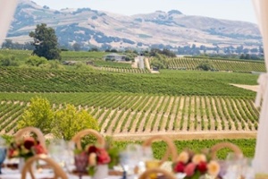 Vintner's Luncheon at Copeland Olive Hill Estate