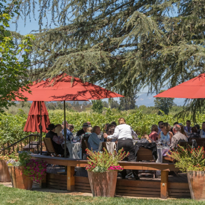 Vintner's Luncheon^at Grgich Hills Estate