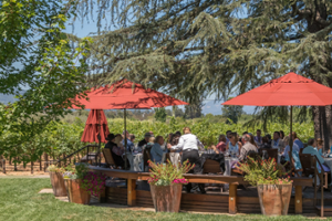 Vintner's Luncheon^at Grgich Hills Estate