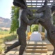Cliff Lede Vineyards