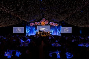 Festival Napa Valley Raises^ Record $6.5 Million at^ 20th Anniversary {Arts for All Gala}