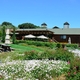 Bouchaine Vineyards