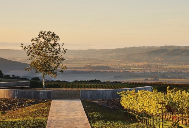 Vintner's Luncheon^at Realm Cellars