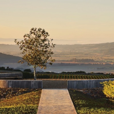 Vintner's Luncheon^at Realm Cellars