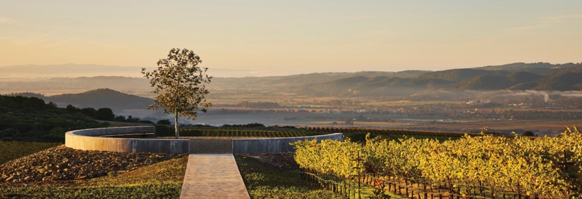 Vintner's Luncheon^at Realm Cellars