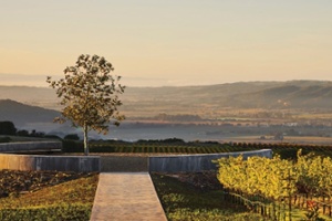 Vintner's Luncheon^at Realm Cellars