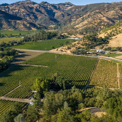 Canard Vineyard