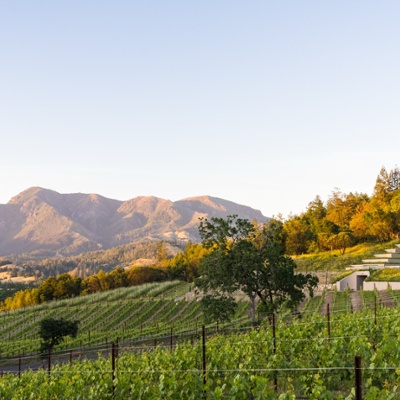 Knights Bridge Winery