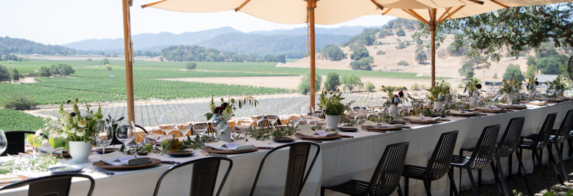 Patron Dinner ^at Gargiulo Vineyards