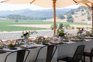 Patron Dinner ^at Gargiulo Vineyards