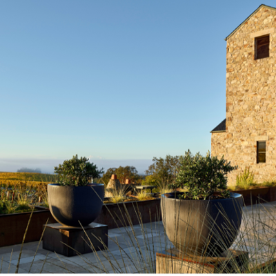 Vintner's Luncheon^at Roy Estate