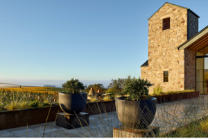 Vintner's Luncheon^at Roy Estate