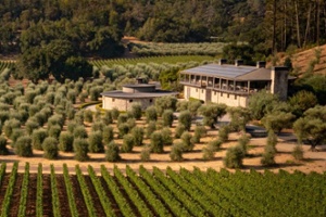 Vintner's Luncheon at^Marciano Estate Winery